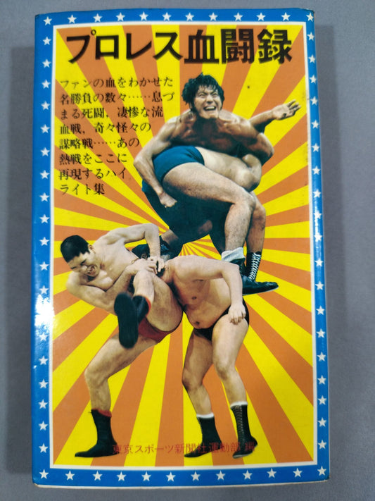 Pro Wrestling