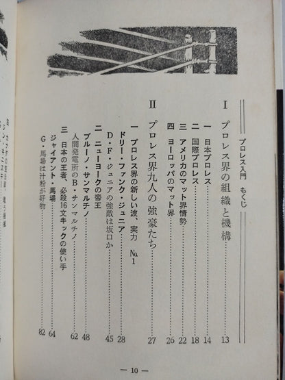【Junior Introductory Encyclopedia】Strong Pro Wrestling