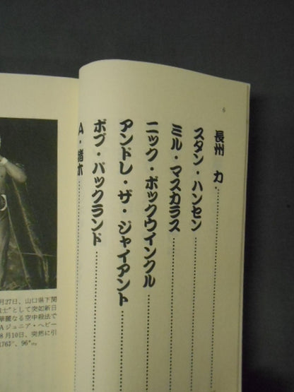 Pro Wrestling  Superstar Fun Reader