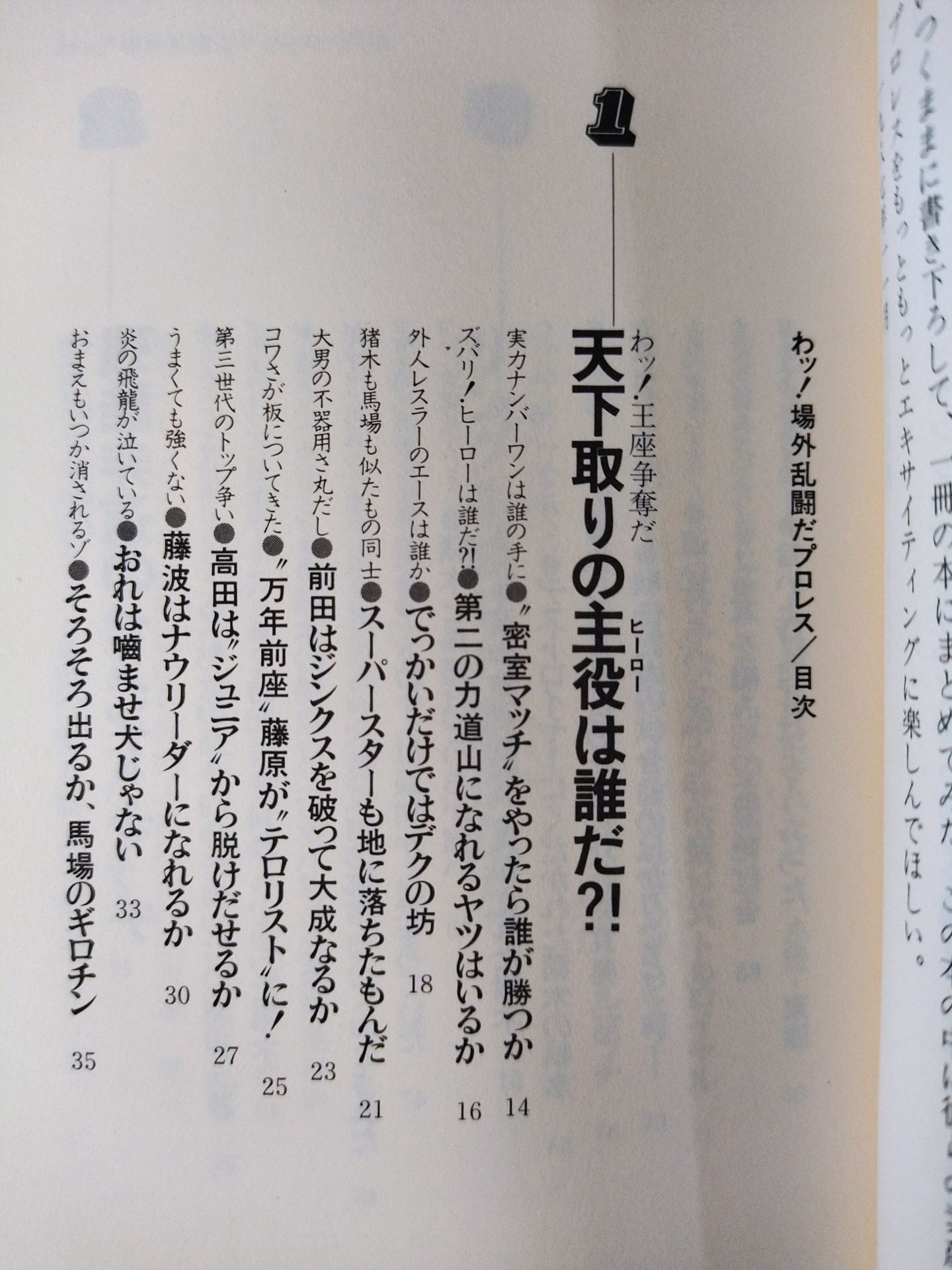 わッ!場外乱闘だプロレス これを知ったらヤミつき 掟破りの主役たち