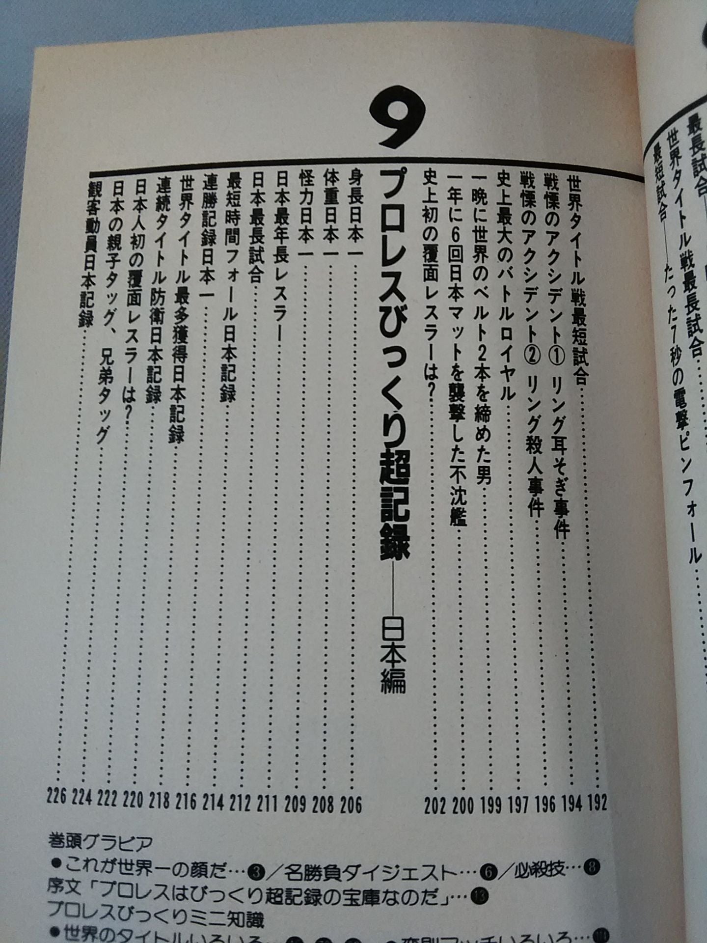 This is the best in the world! Pro Wrestling  Amazing Super Record