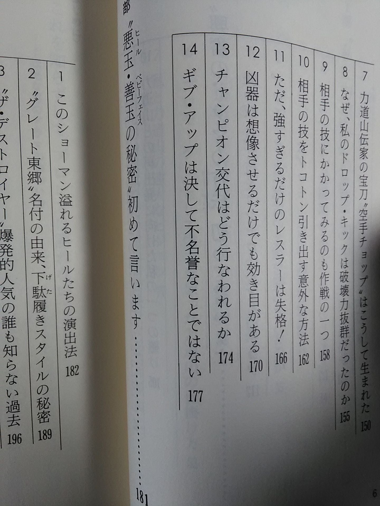 Pro Wrestling 30 Years First Time How to Taste the Drama of a Fierce Man