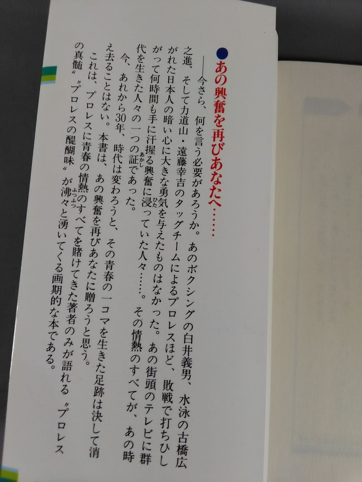 Pro Wrestling 30 Years First Time How to Taste the Drama of a Fierce Man