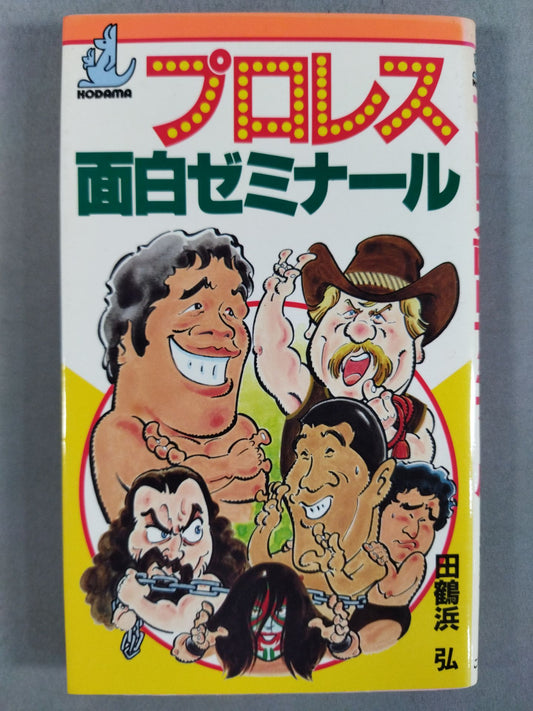 Pro Wrestling  Fun Seminar