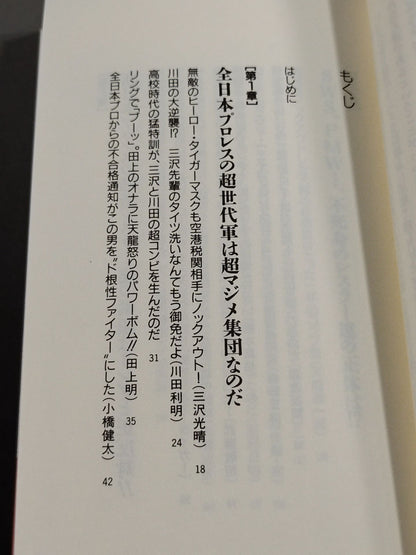 プロレスを10倍楽しく見る方法 パートⅡ改装版
