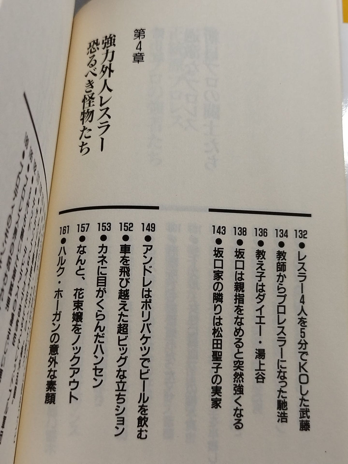 プロレスラーみんなまとめて場外乱闘