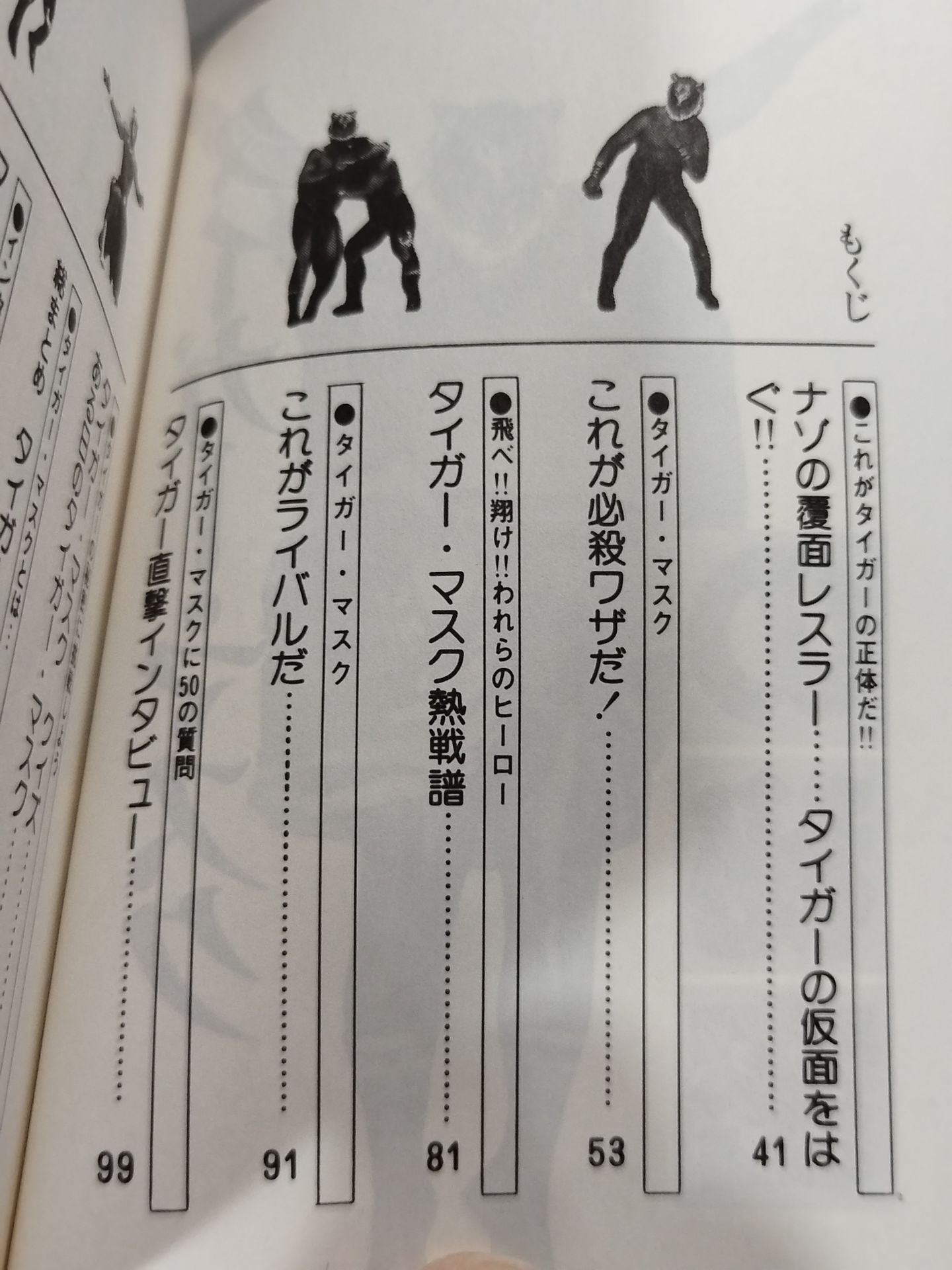 Mysterious Pro Wrestler : The Secret of Tiger Mask