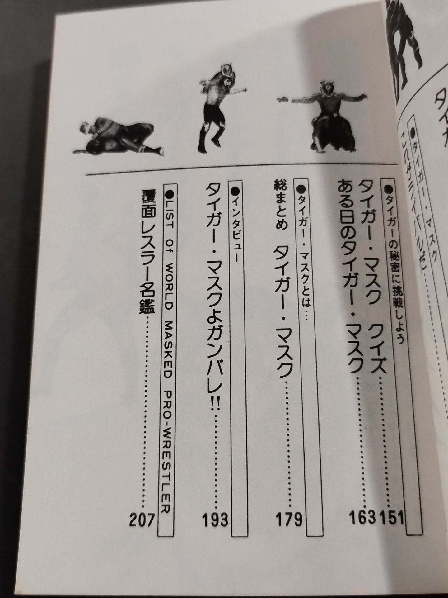 Mysterious Pro Wrestler : The Secret of Tiger Mask