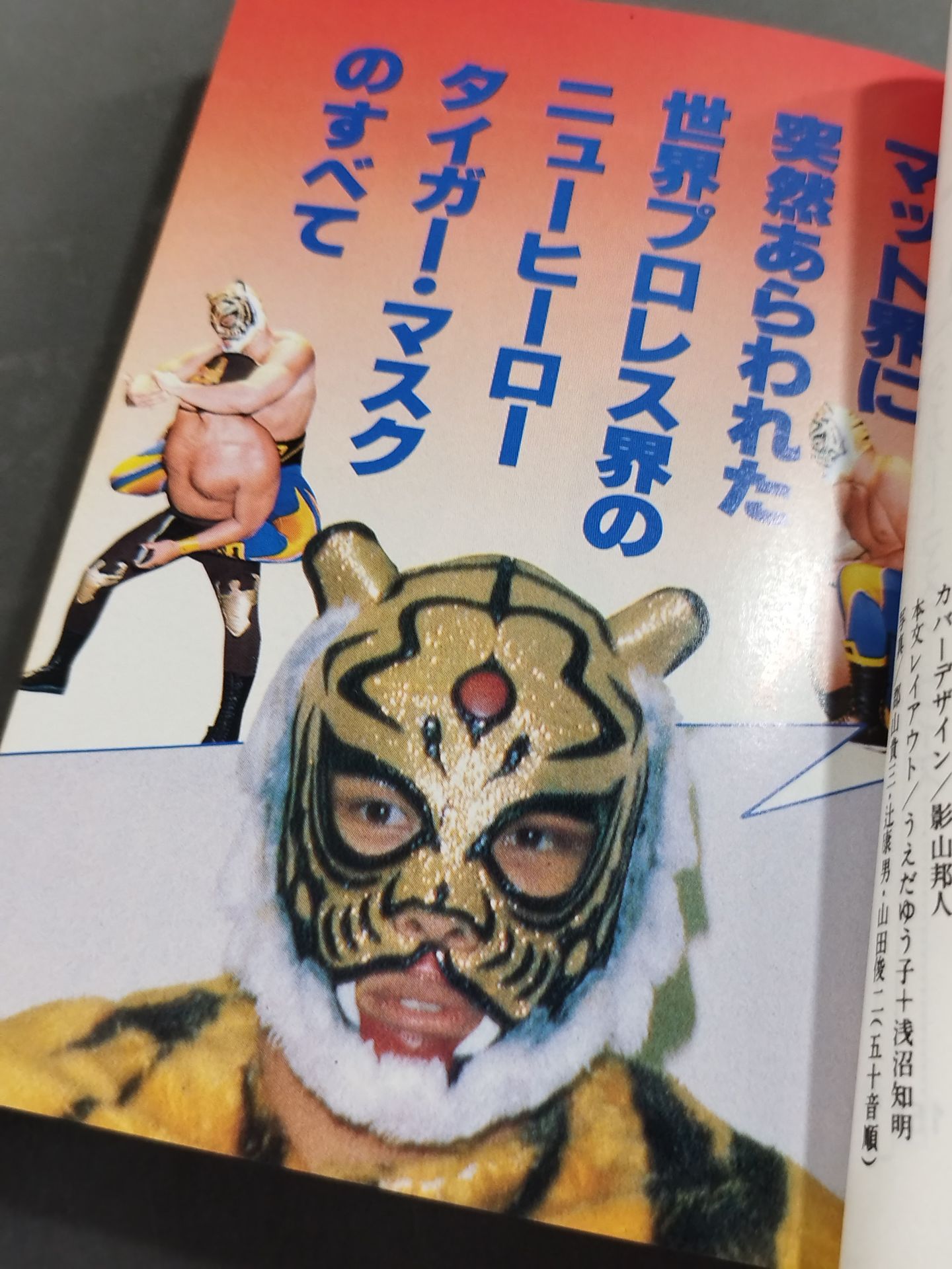 Mysterious Pro Wrestler : The Secret of Tiger Mask