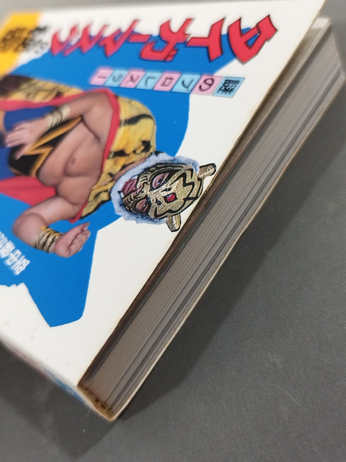Mysterious Pro Wrestler : The Secret of Tiger Mask