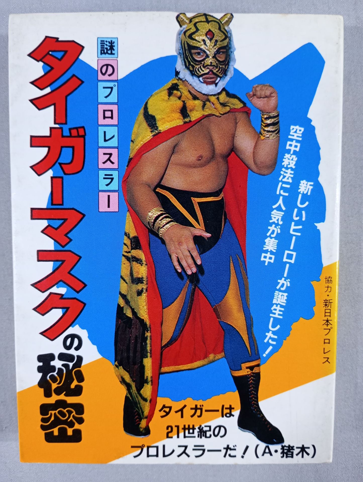Mysterious Pro Wrestler : The Secret of Tiger Mask