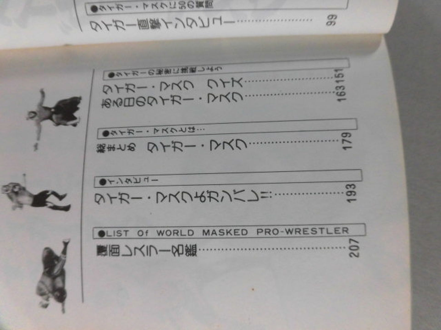 Mysterious Pro Wrestler : The Secret of Tiger Mask