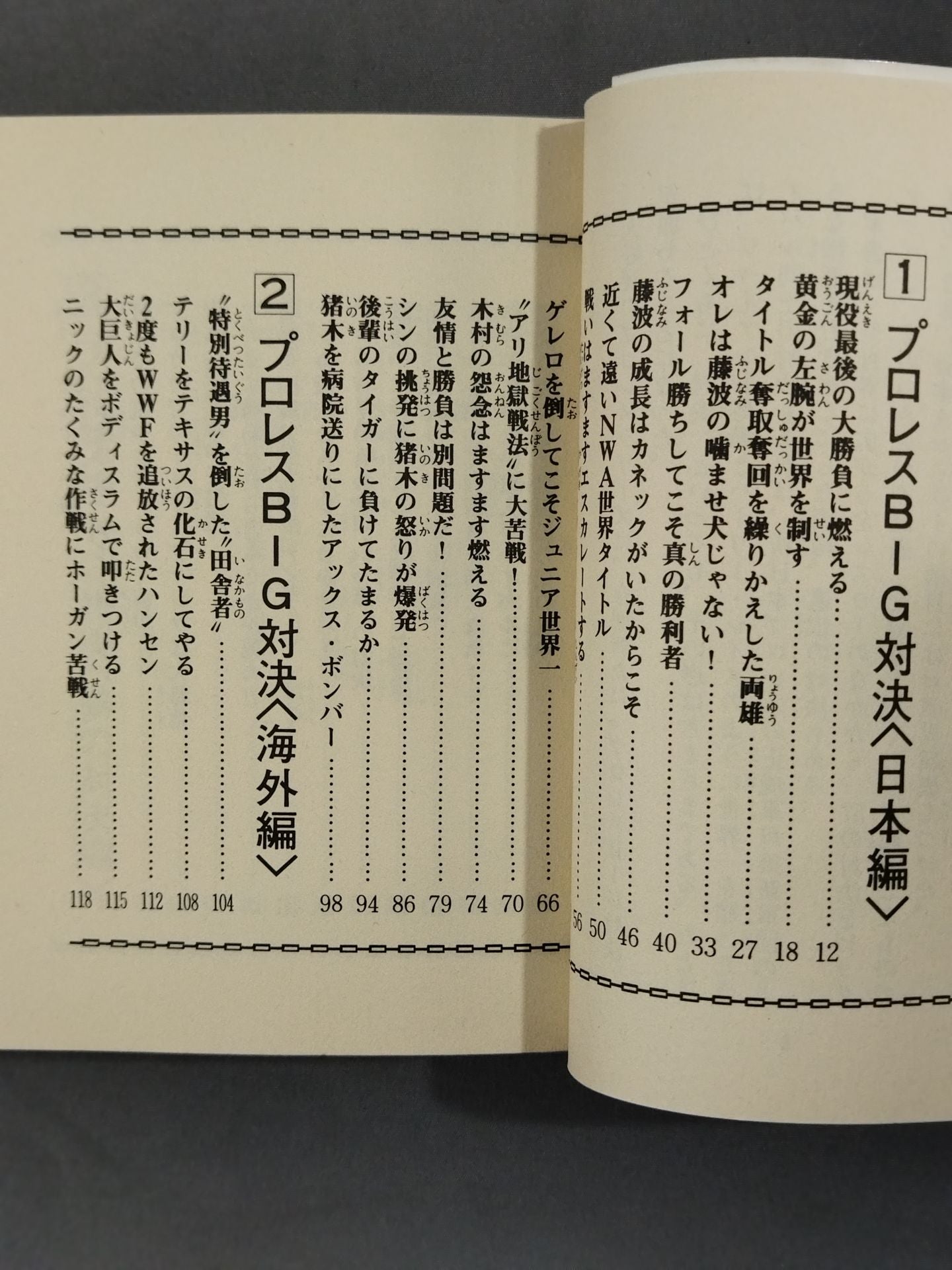 Pro Wrestling  BIG Showdown Bean Tanuki Book 184
