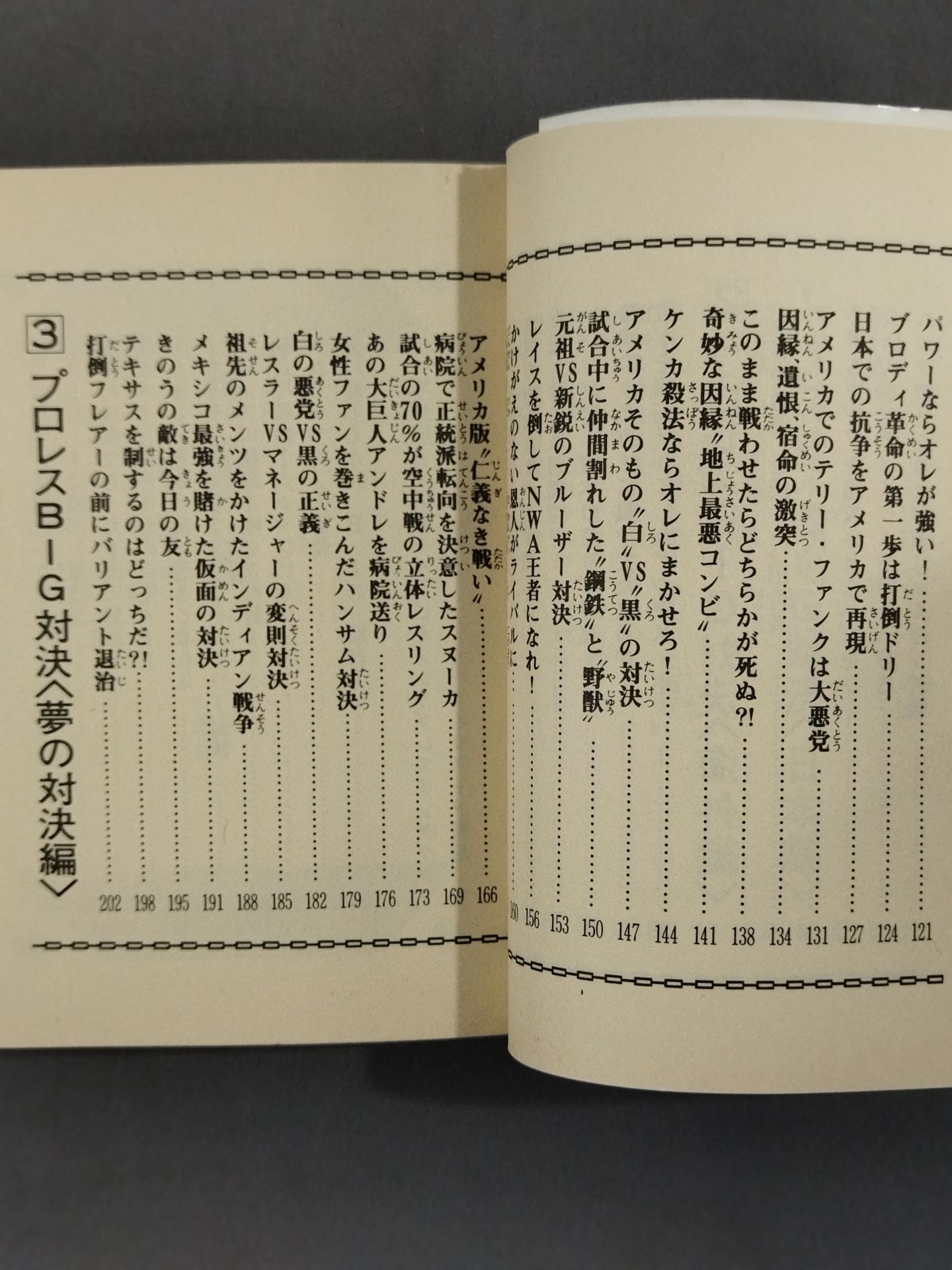 Pro Wrestling  BIG Showdown Bean Tanuki Book 184