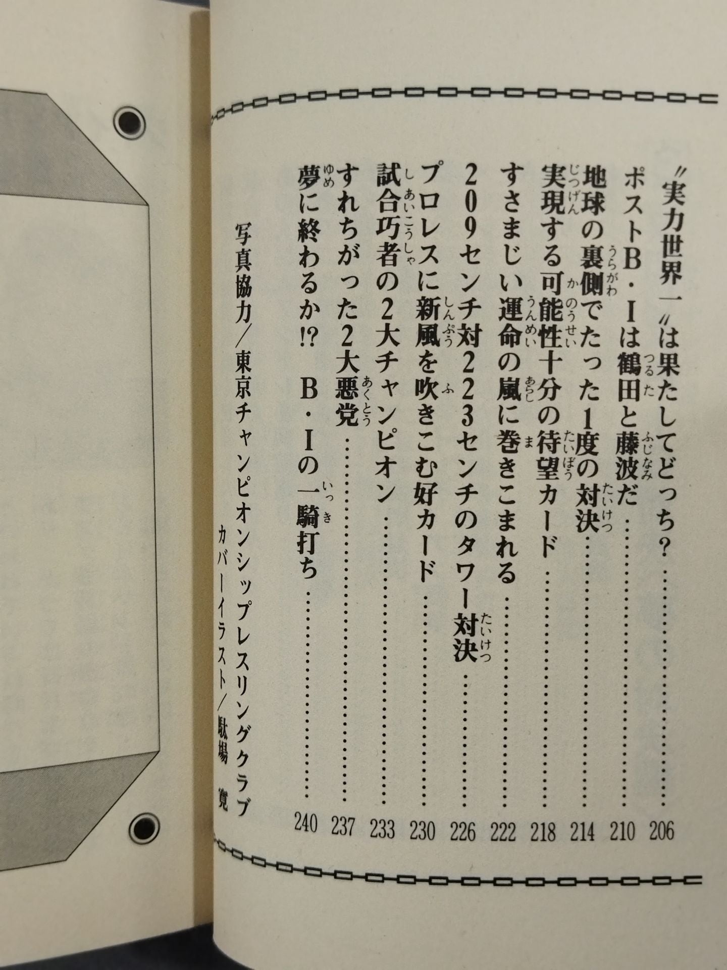 Pro Wrestling  BIG Showdown Bean Tanuki Book 184