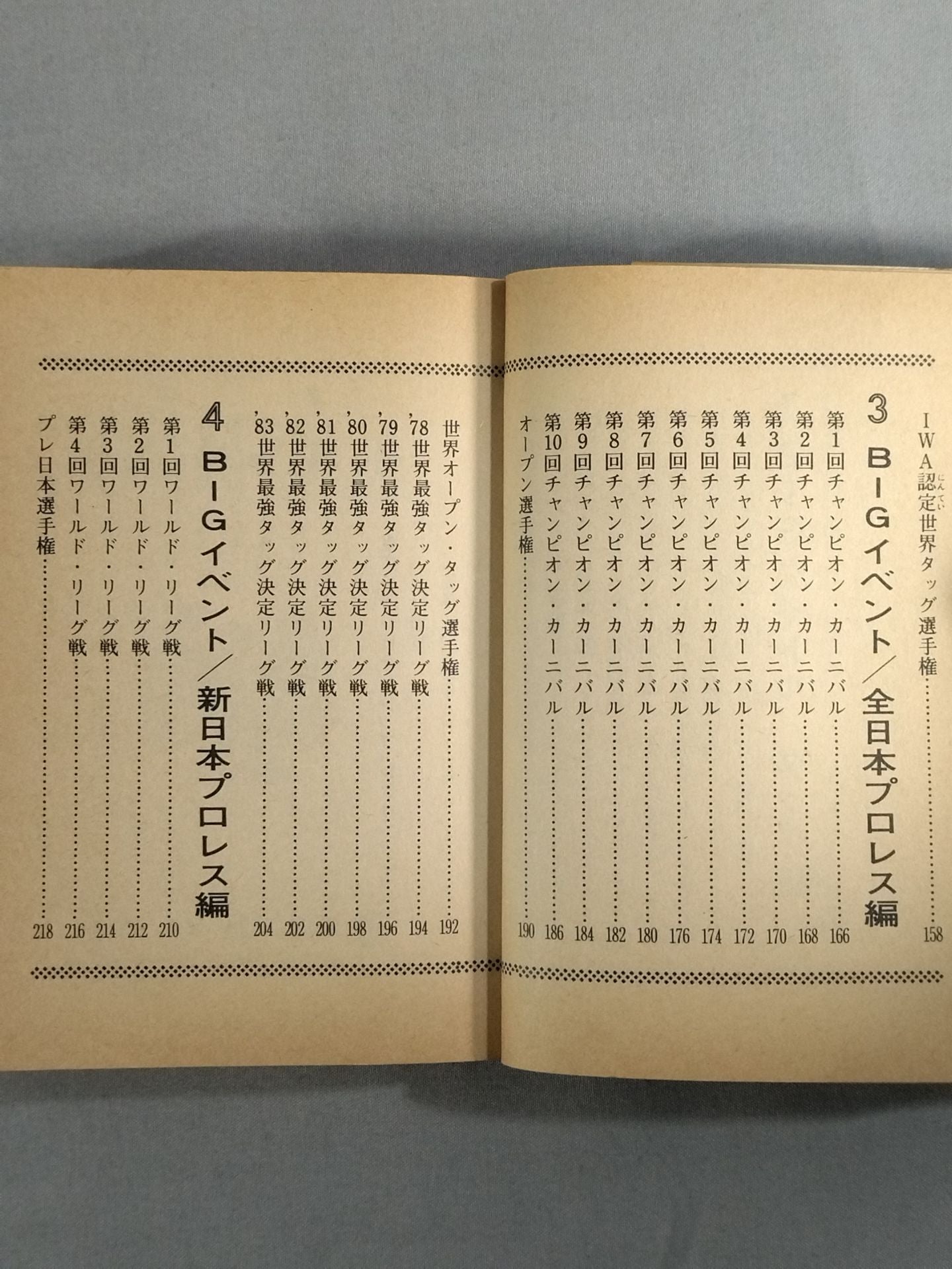 Pro Wrestling  Super Title Match Bean Tanuki Book 187