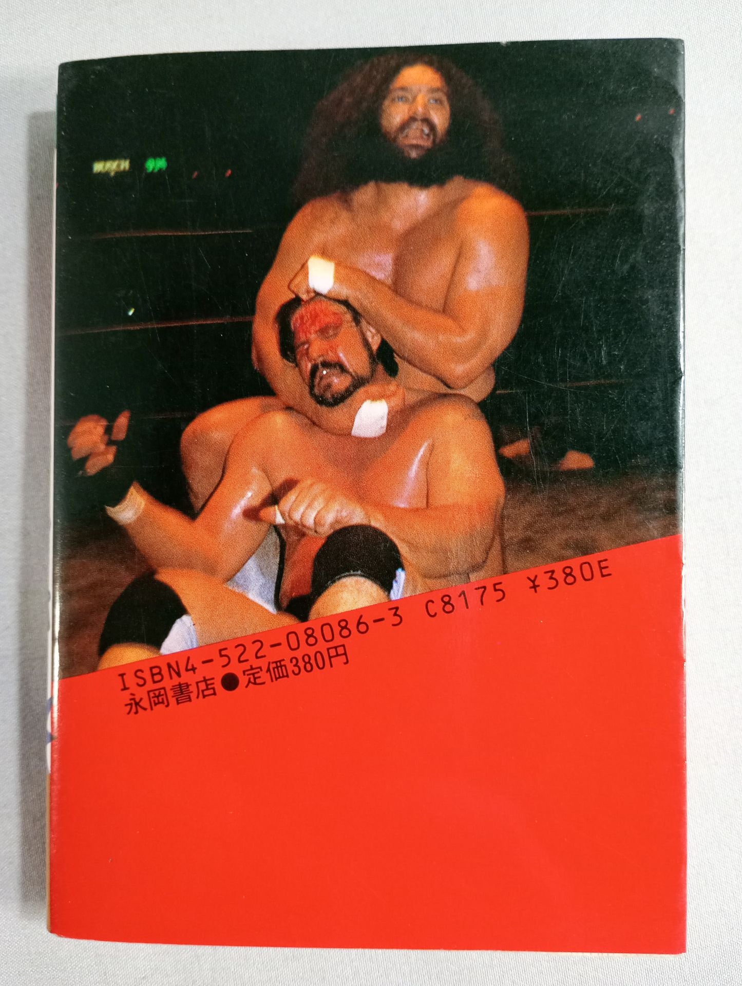 Pro Wrestling  World Superstar