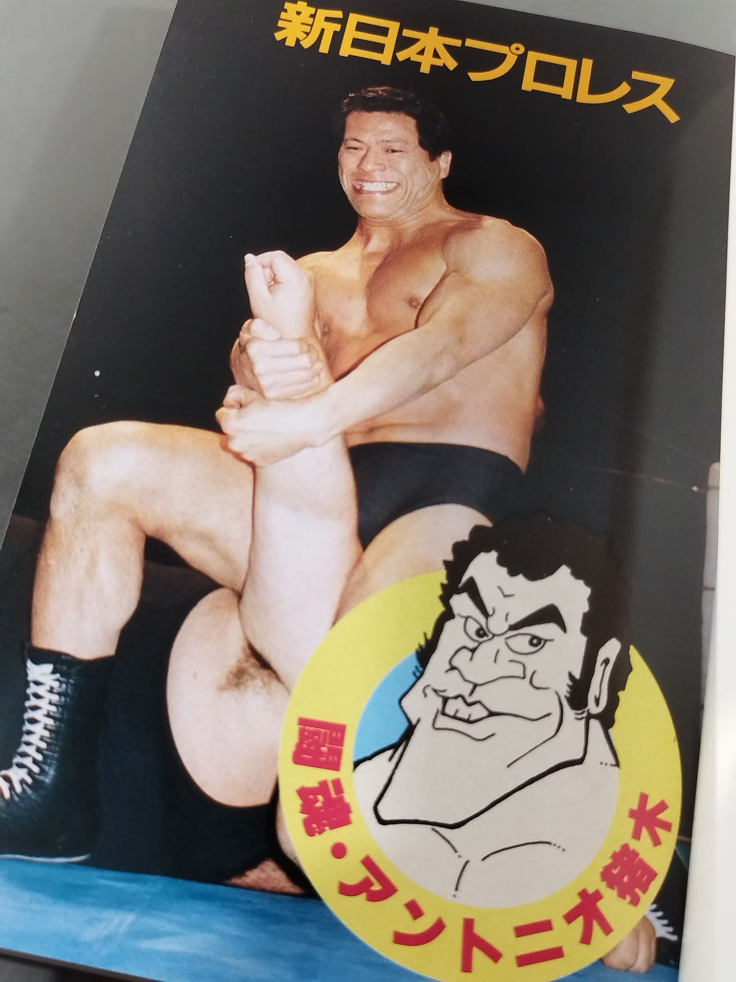 最新プロレス大図鑑②闘魂☆新日本プロレス
