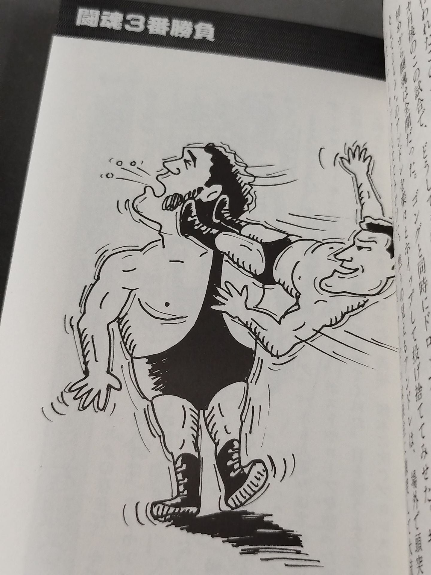 最新プロレス大図鑑②闘魂☆新日本プロレス