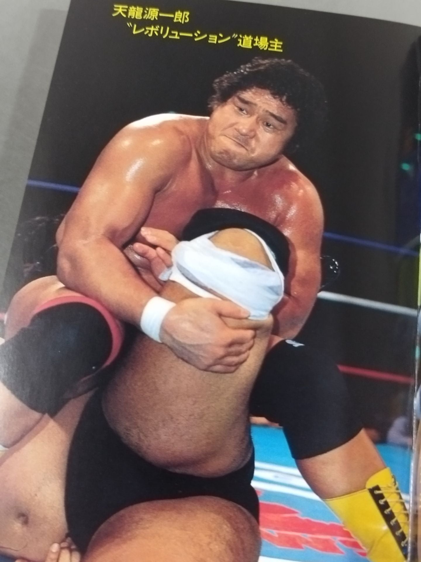 最新プロレス大図鑑③革命☆SWS