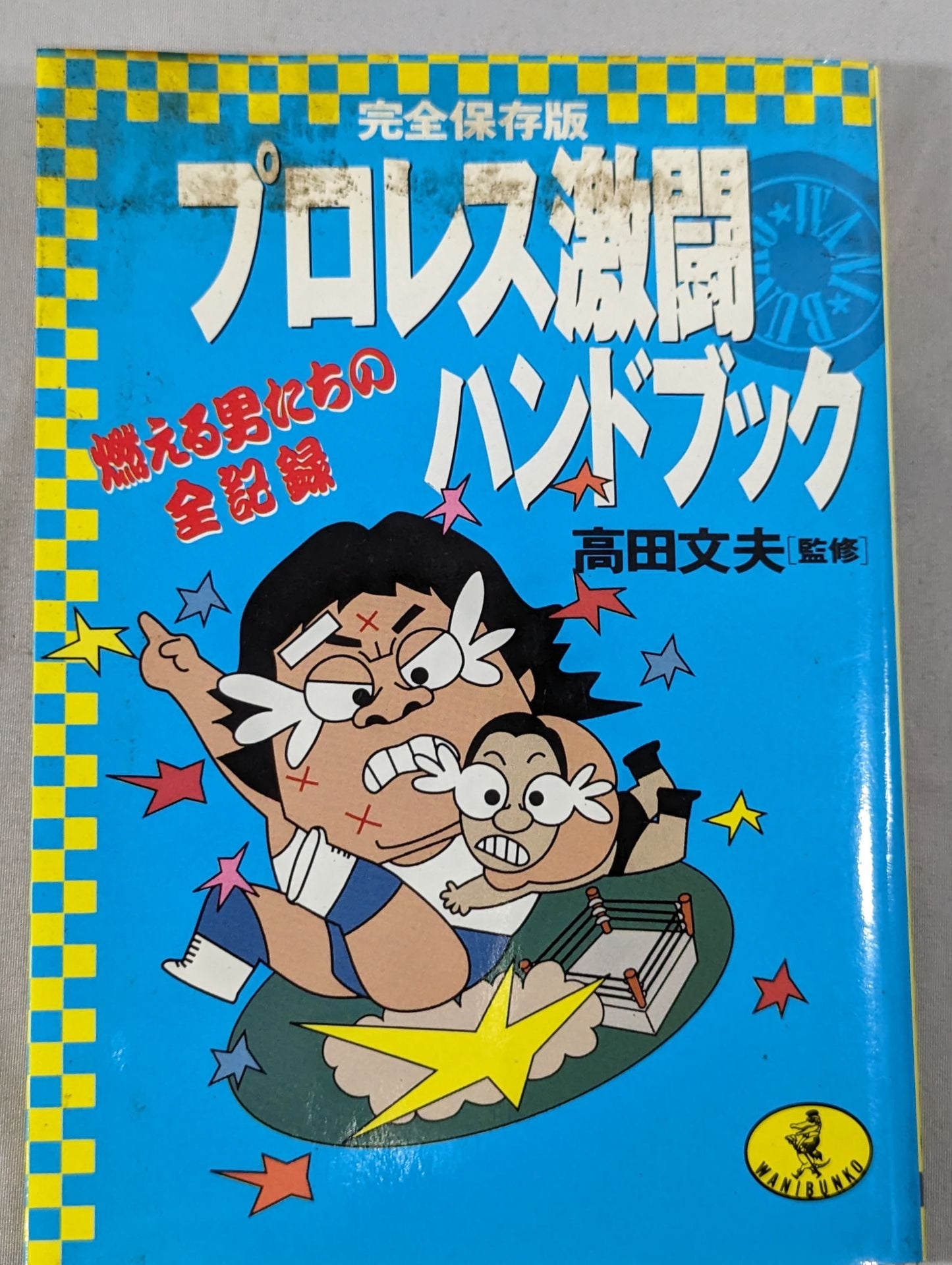 完全保存版 プロレス激闘ハンドブック 燃える男たちの全記録