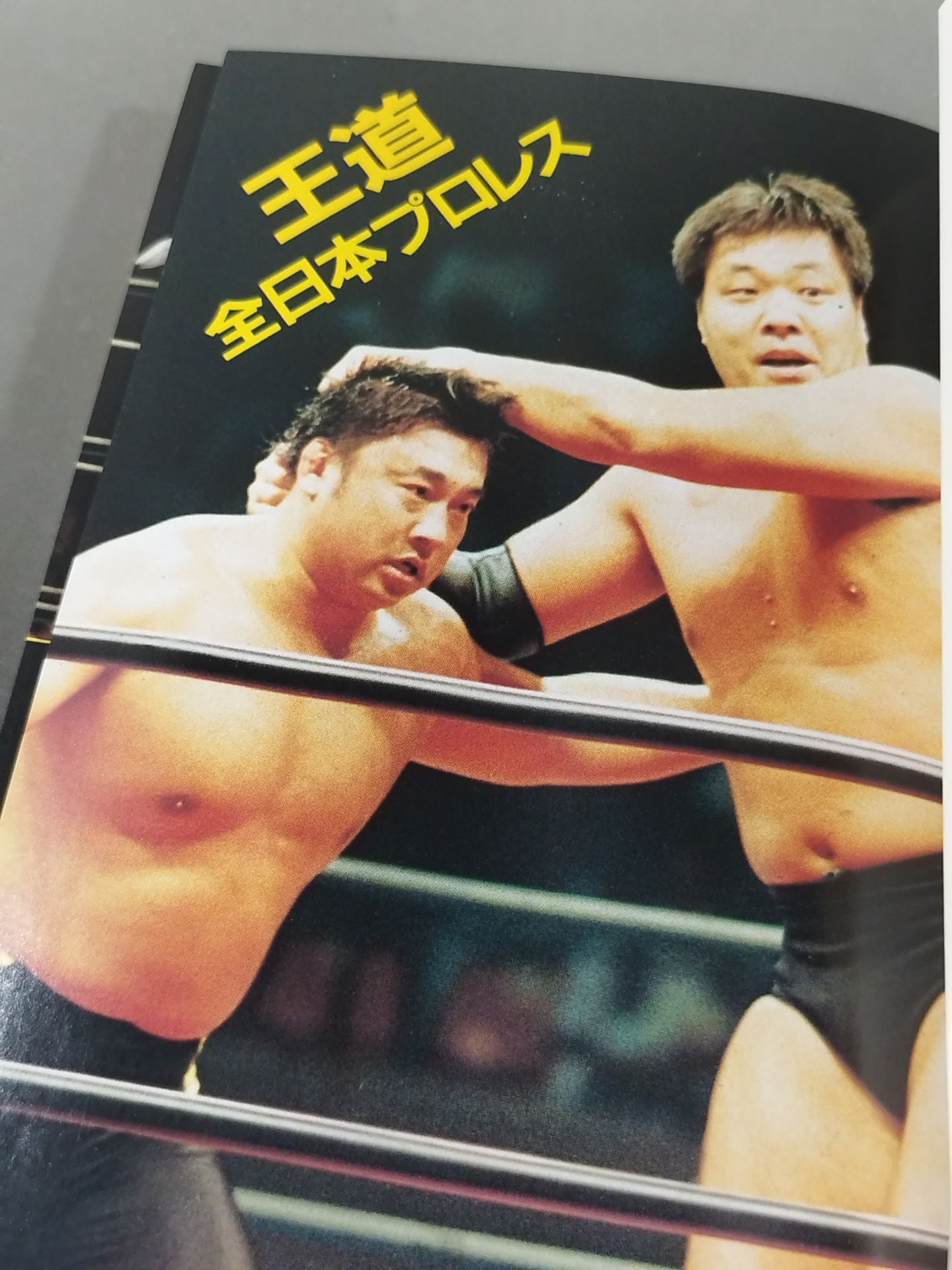 最新プロレス大図鑑⑤王道☆全日本プロレス