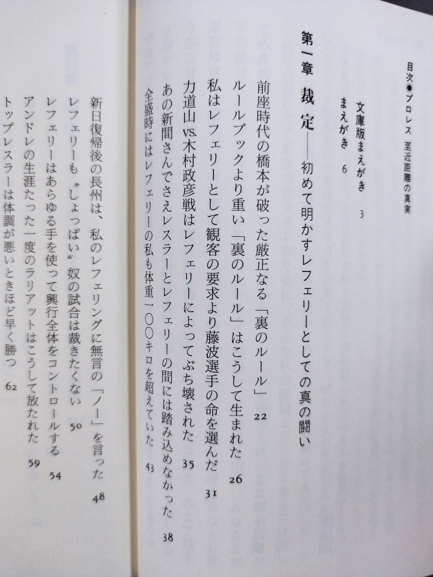 プロレス  至近距離の真実  レフェリーだけが知っている表と裏