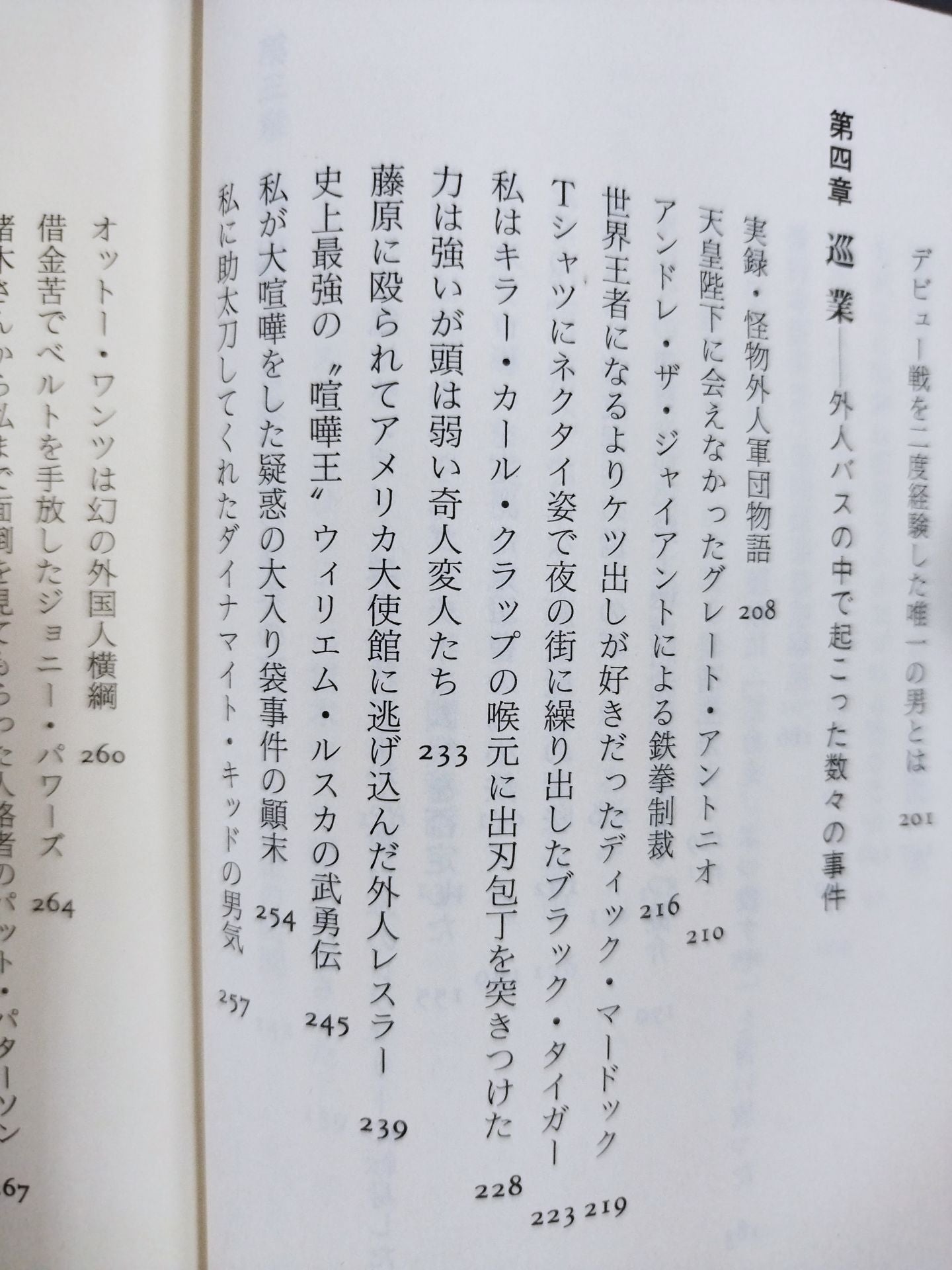 プロレス  至近距離の真実  レフェリーだけが知っている表と裏