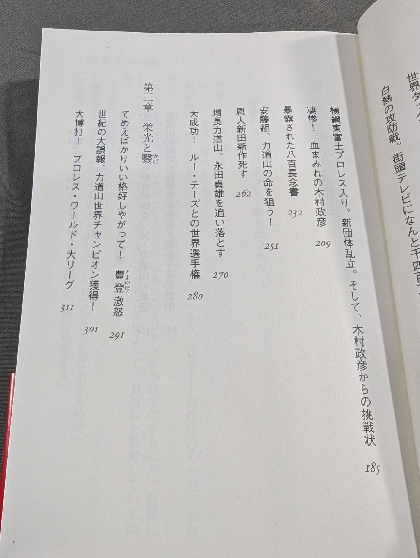 The Truth About Rikidoyama