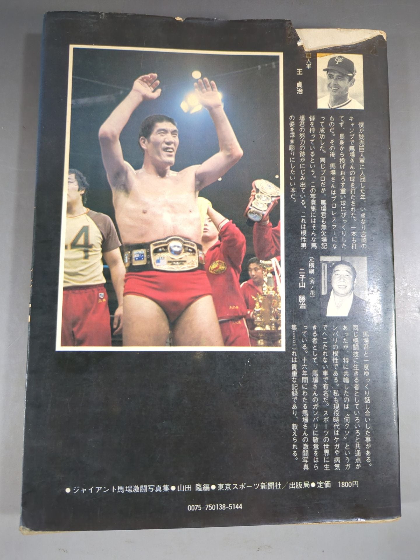 16 Sentences of Glory Giant Baba  Fierce Battle Photo  Collection