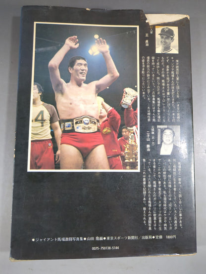 16 Sentences of Glory Giant Baba  Fierce Battle Photo  Collection
