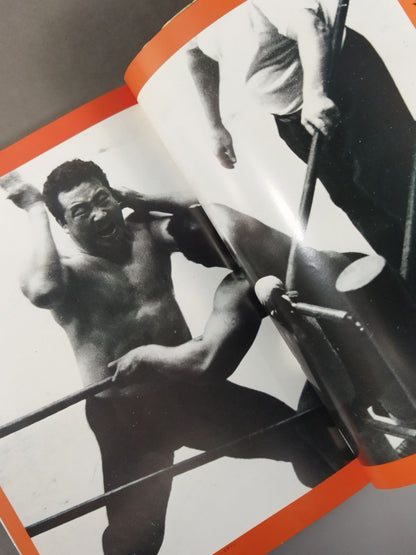 The Rikidozan  Hero of the Ages RikidozanPhoto  Collection