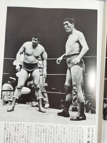 This is a tag! '80 Real World Tag League  MSG Tag League