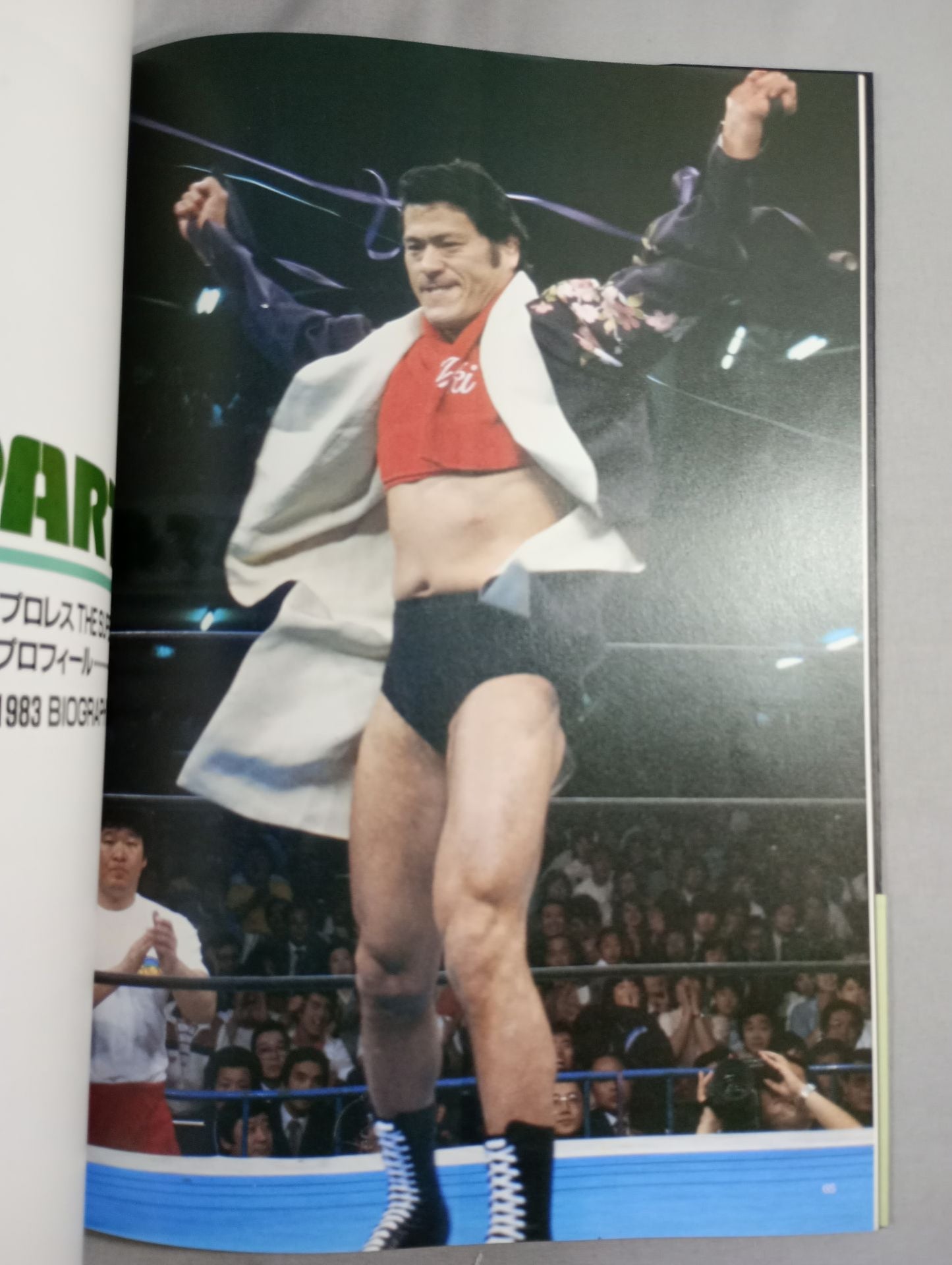 ザ・スーパー・ファイター THE SUPER FIGHTER