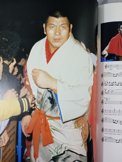 ザ・スーパー・ファイター THE SUPER FIGHTER
