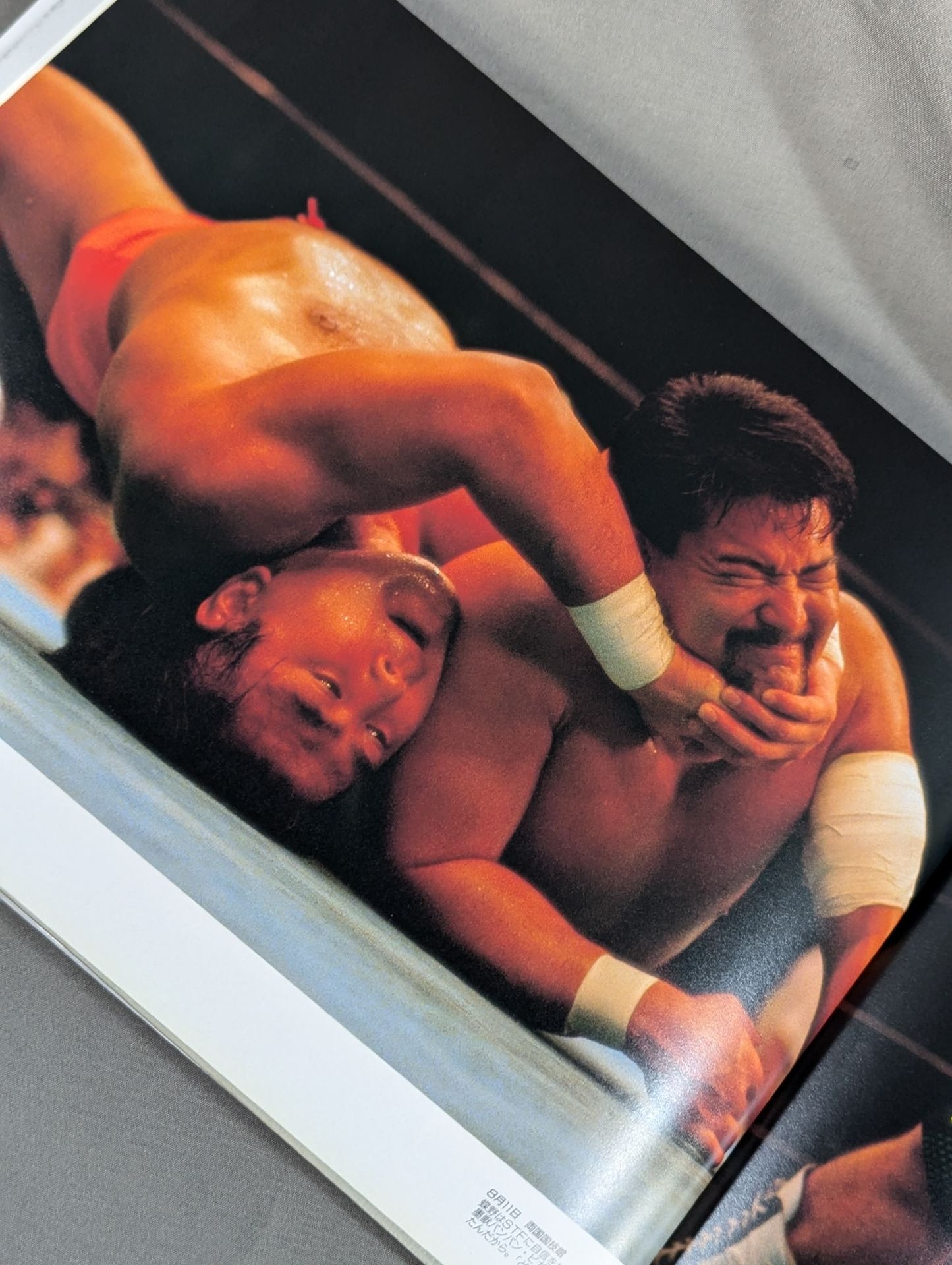 New Japan Pro Wrestling Pro-wrestling PHOTO  THE BATTLE of 21st