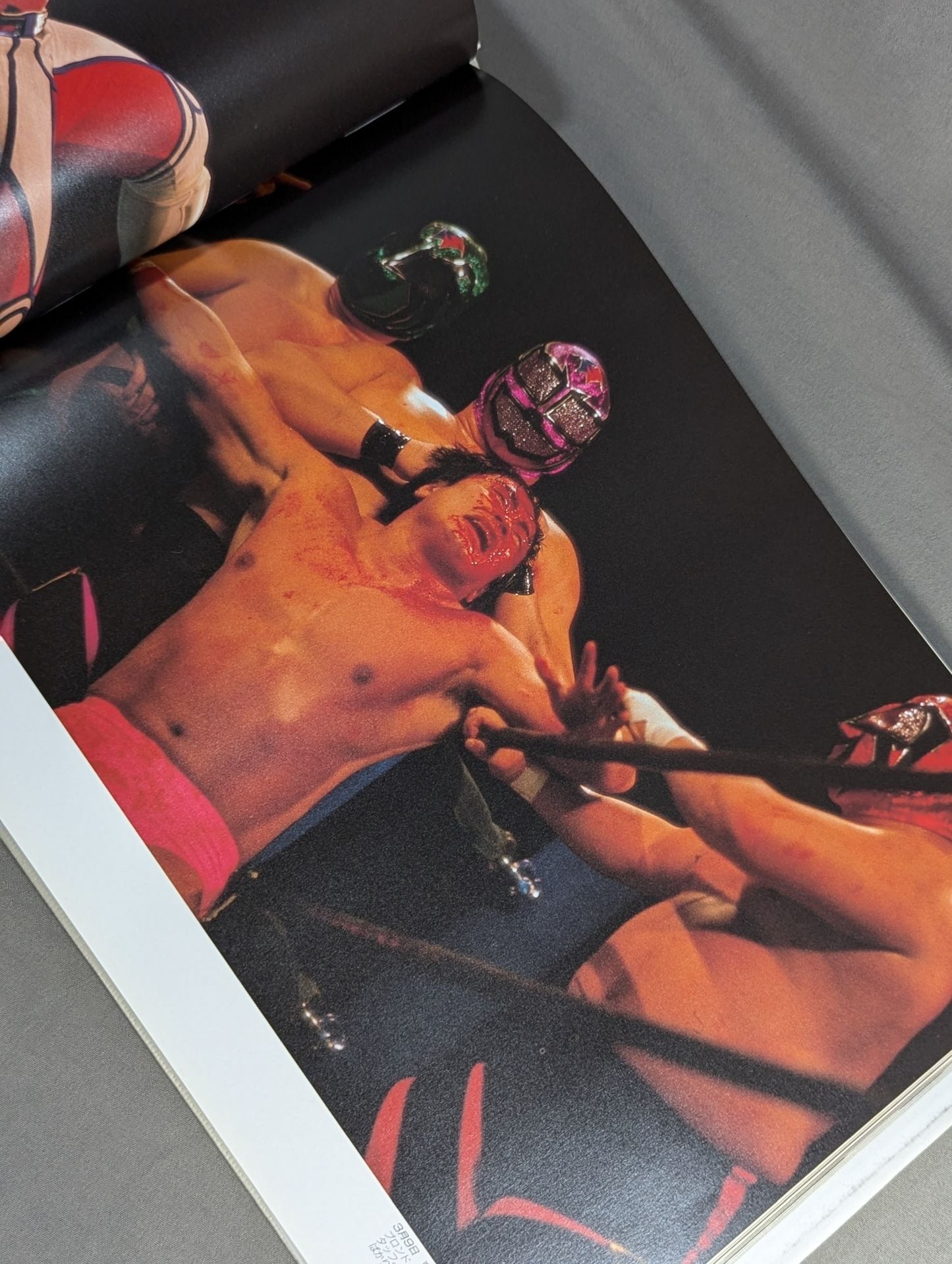 New Japan Pro Wrestling Pro-wrestling PHOTO  THE BATTLE of 21st