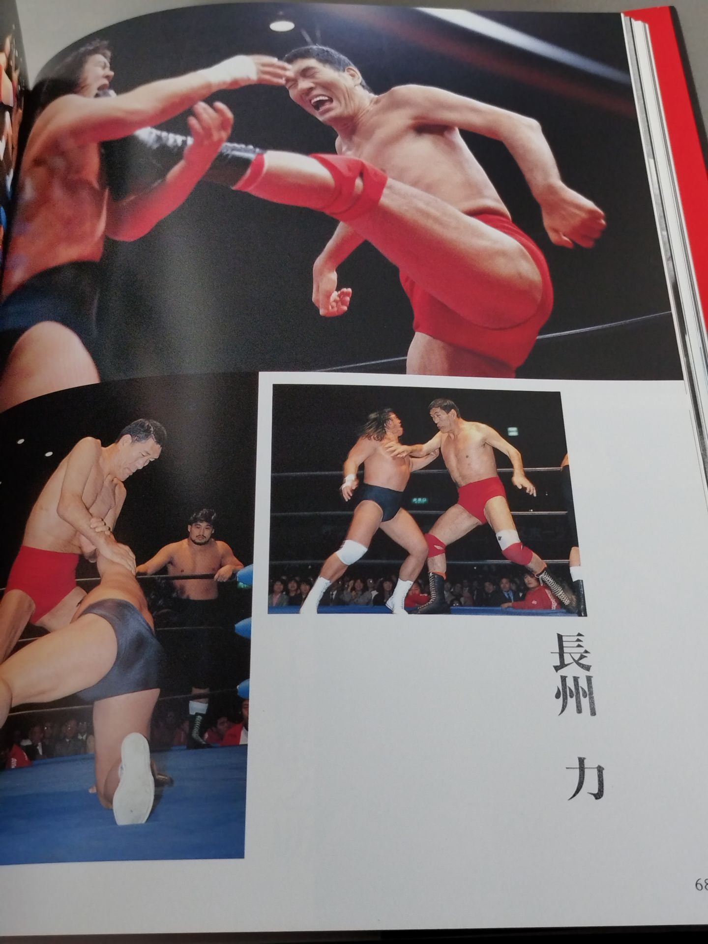 Giant Baba  permanent preservation edition photo  collection