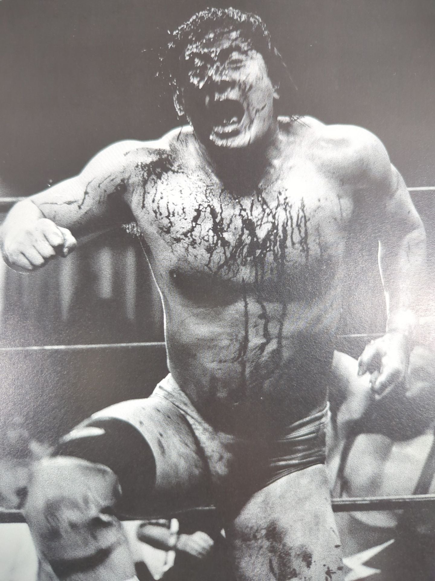 New Japan Pro Wrestling photo Super Battle Shooting