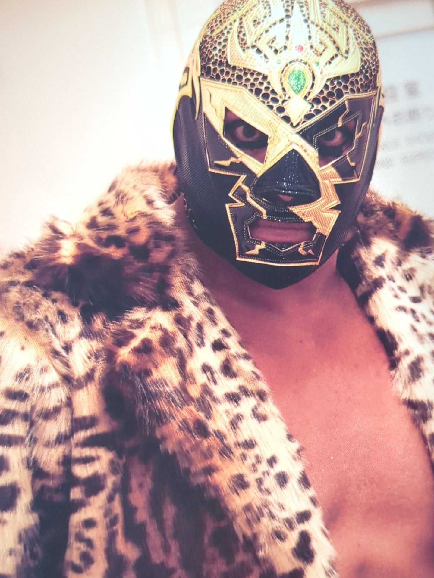 【ドクトル・ワグナーJr.直筆サイン入り】FOTOLIBRE de Mascara Numero.71