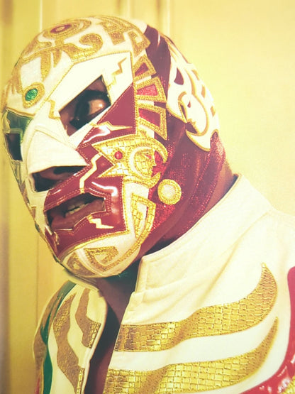 【ドクトル・ワグナーJr.直筆サイン入り】FOTOLIBRE de Mascara Numero.71