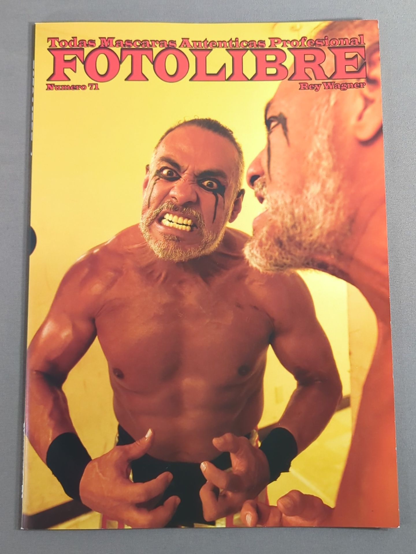 【ドクトル・ワグナーJr.直筆サイン入り】FOTOLIBRE de Mascara Numero.71