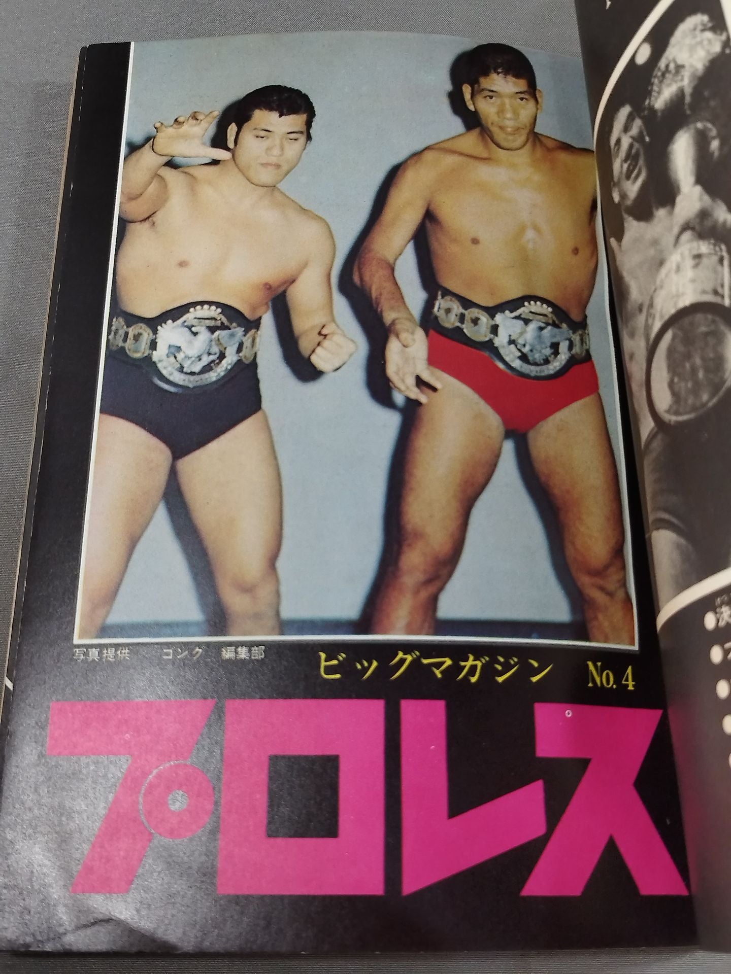 Big Magazine NO.4 ★ Pro Wrestling ★