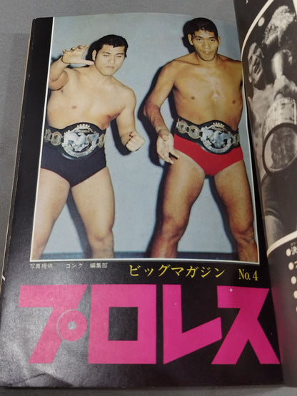 Big Magazine NO.4 ★ Pro Wrestling ★