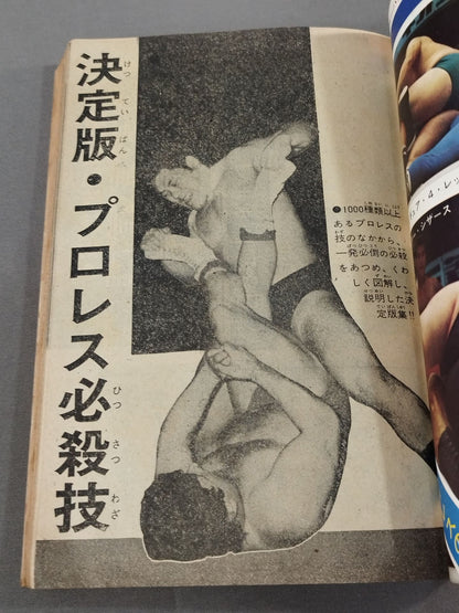 Big Magazine NO.4 ★ Pro Wrestling ★