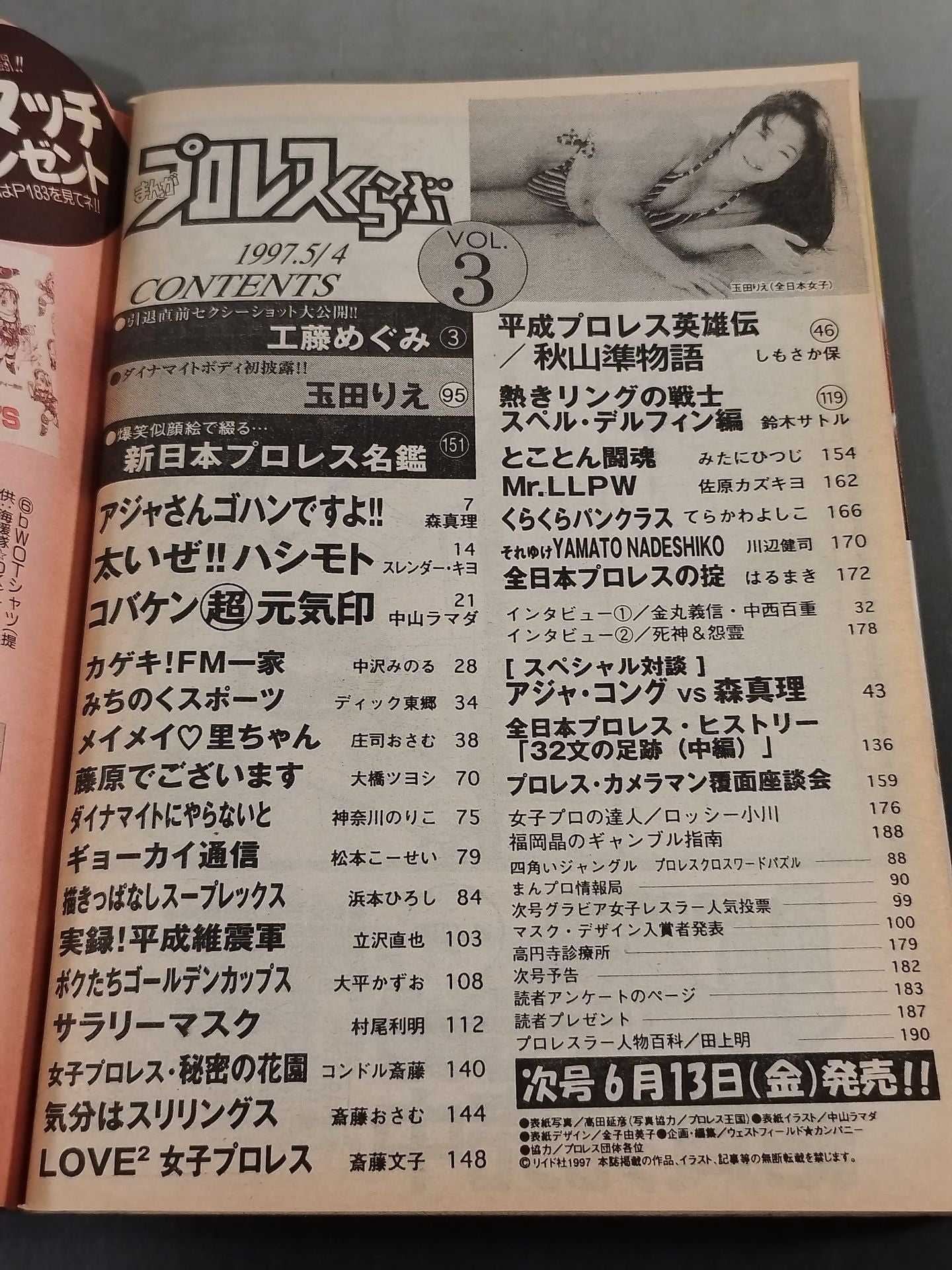 Manga Pro Wrestling  VOL.3