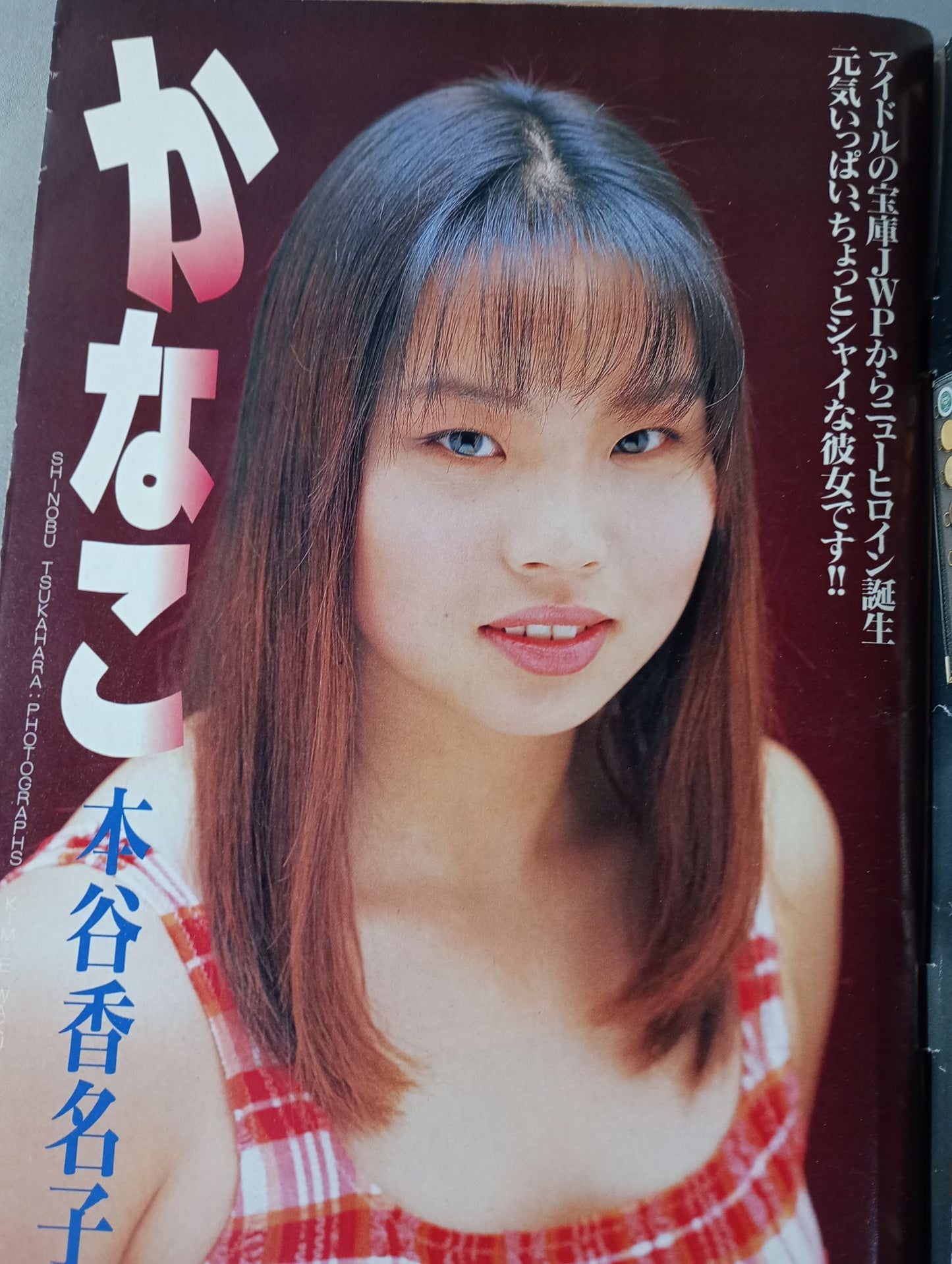 Manga Pro Wrestling  VOL.2