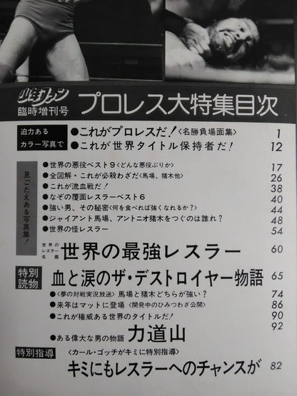★ Shonen Fan Special Issue ★ Pro Wrestling Special Feature!