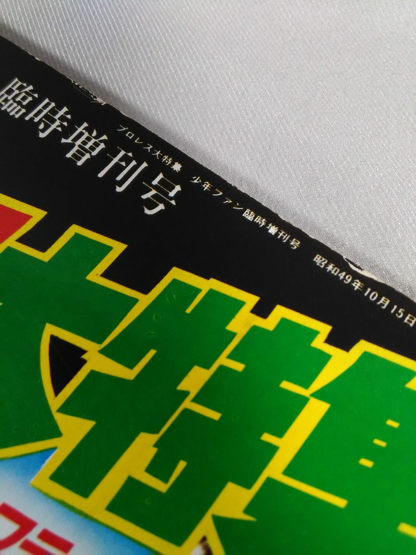 ★ Shonen Fan Special Issue ★ Pro Wrestling Special Feature!