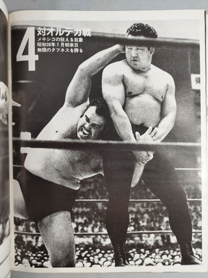 SHOOT (9) Emergency Extraordinary Extra Resurrected Hero TheRikidozan